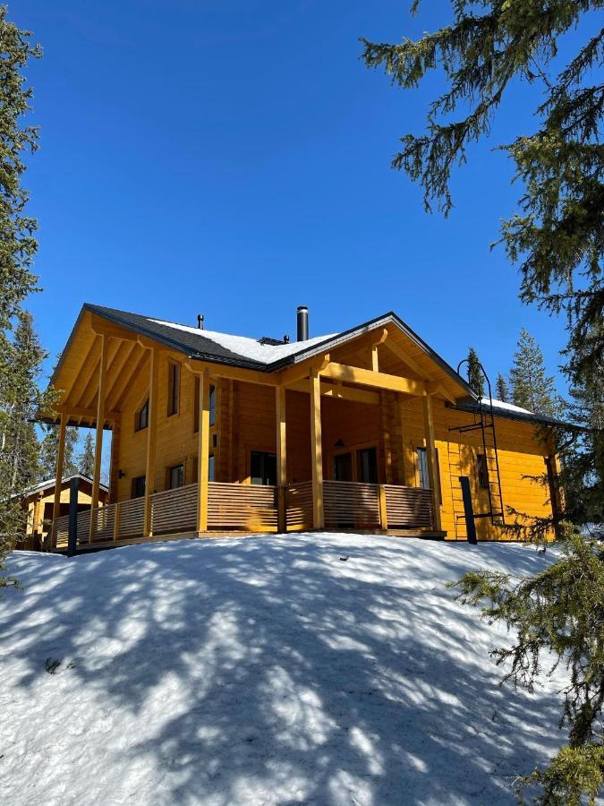 Lapland Dream Villas Rauhala Extérieur photo