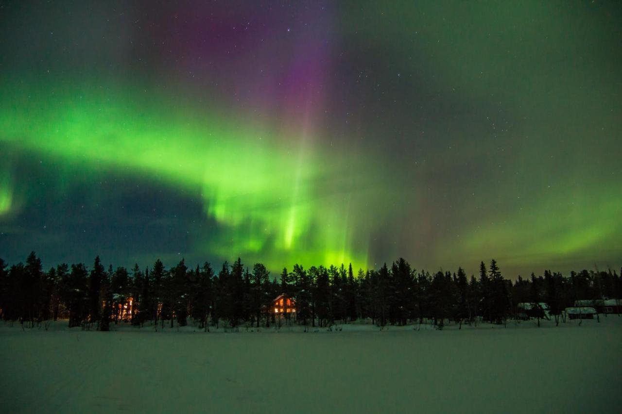 Lapland Dream Villas Rauhala Extérieur photo