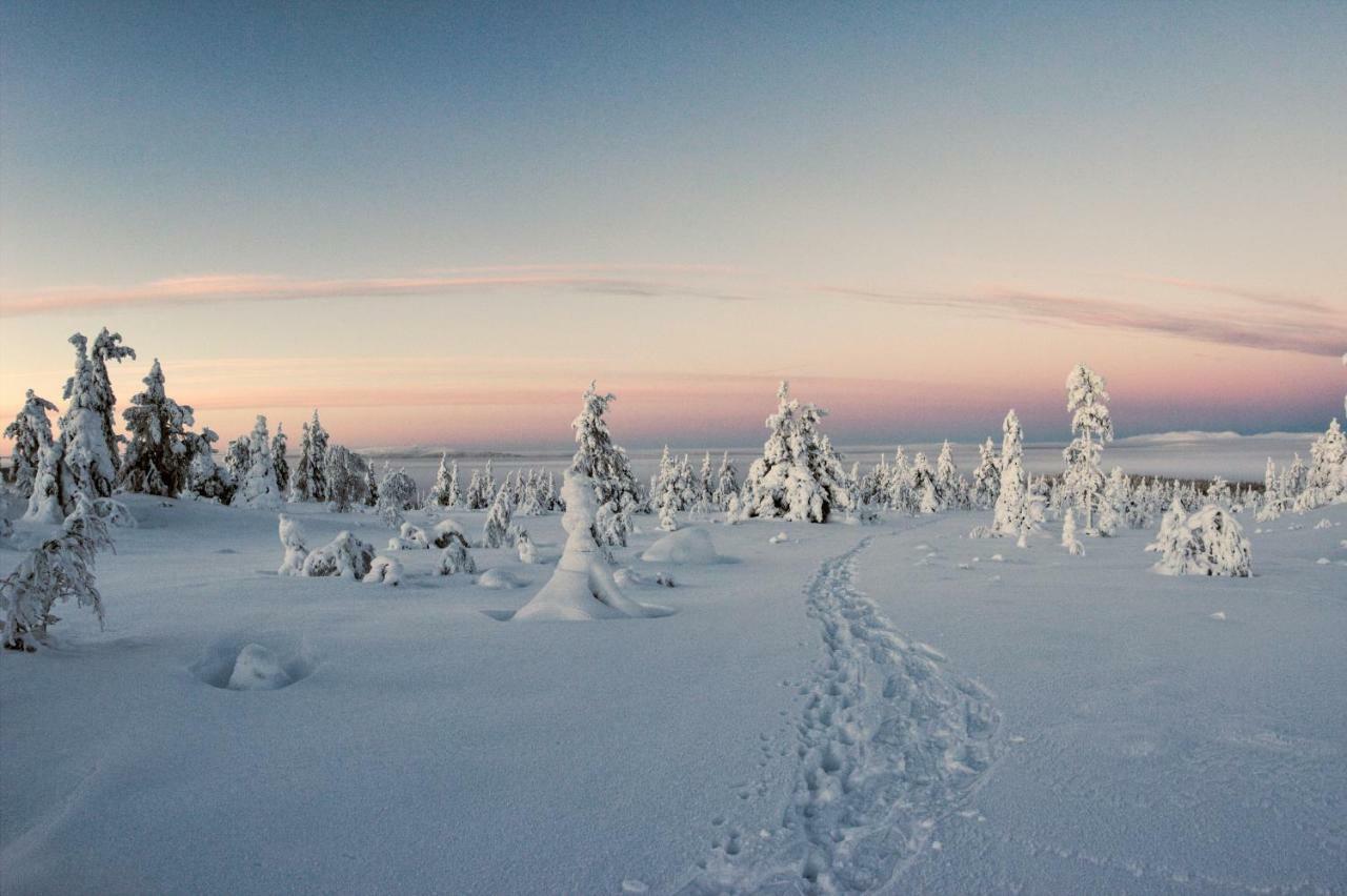 Lapland Dream Villas Rauhala Extérieur photo